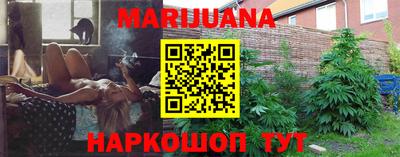 Альфа ПВП Обь