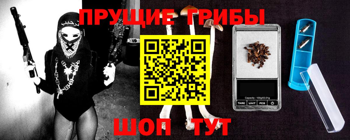 Псилоцибиновые грибы GOLDEN TEACHER  Вход с VPN  Туапсе  Галлюциногенные грибы MAGIC MUSHROOMS 